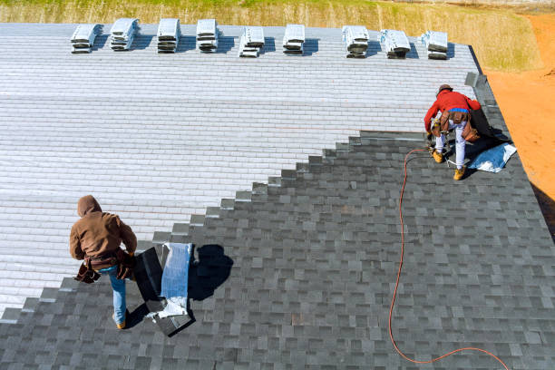 Best Asphalt Shingle Roofing  in Woodbine, GA