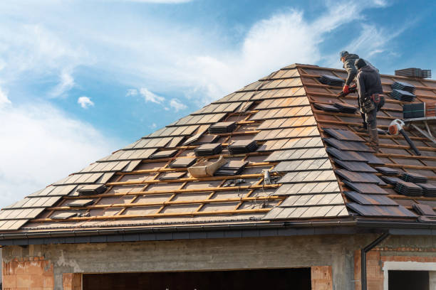 Best Storm Damage Roof Repair  in Woodbine, GA